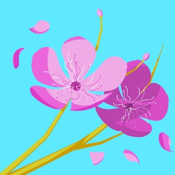 Meet your Posher, Dan - Picture 1 of 1